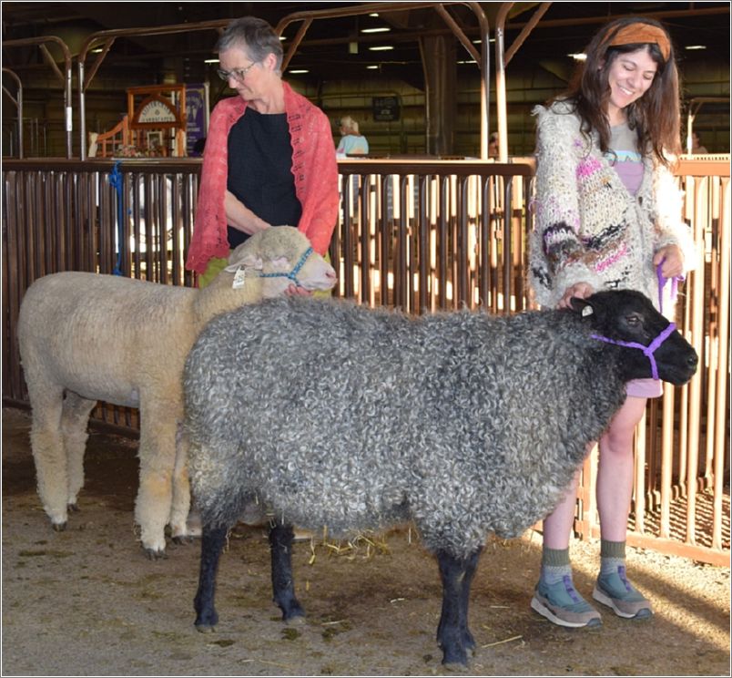 Sarah Nielsen-Boyd wearing a lace shawl (left) with Ali Fuller modeling her multi breed sweater. Photo: Peggy Lundquist.